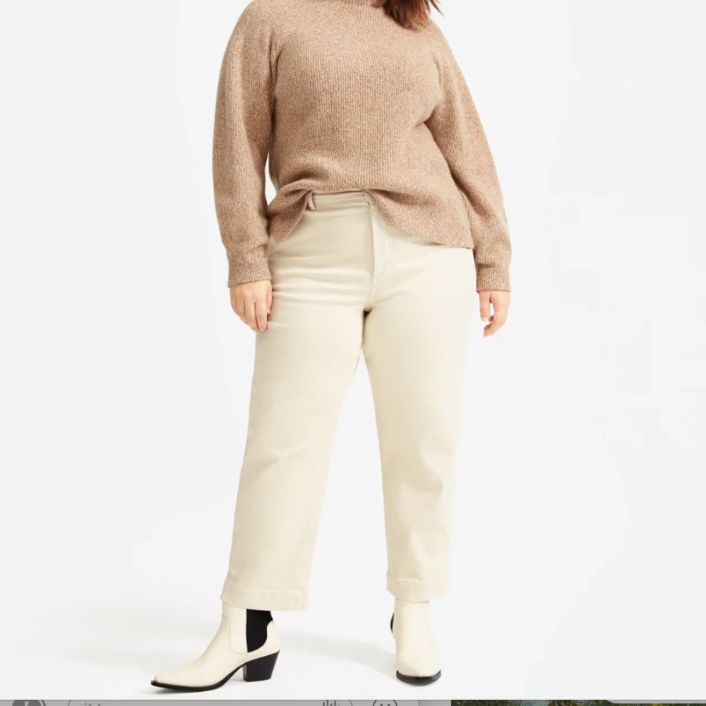 Everlane Straight Leg Crop in Khaki
